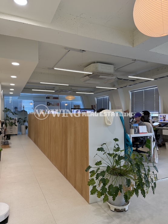 서울 마포구 서교동 풀 인테리어 주차 2대 가능한 세련된 감성 오피스 홍대사무실 임대 월세 매물번호 11244 사진 5
